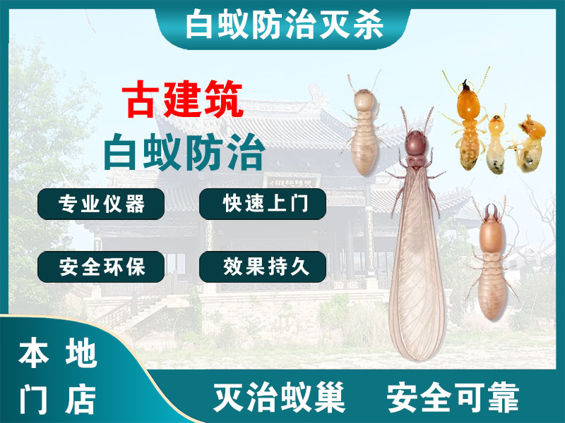 淳安县古建筑白蚁防治